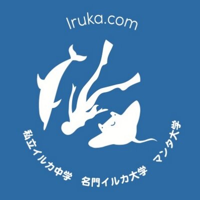 Iruka Hawaii Experiences